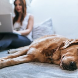 Meilleure amie – 16