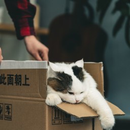 22 Le Bernard-l&rsquo;Hermite