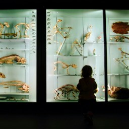 Sortir à Paris (20)