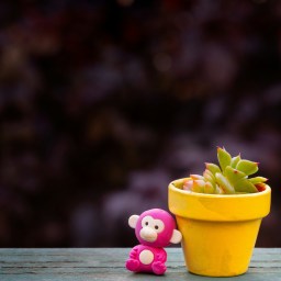 Continuer ensemble (23)